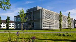 For mpi collective communications, everyone has to particpate; International Max Planck Research School Plant Sciences