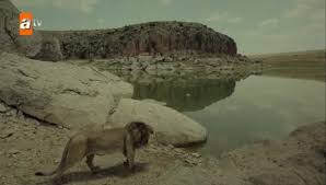 Bozkır arslanı celaleddin ilk bölümü ile 21 mayıs cuma akşamı 20.00'de atv ekranlarında yayına başlayacak. Cadh9usw8huigm