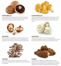 Pin By F B Knowledge On Knowledge Mushroom Benefits Health Benefits Of Mushrooms Stuffed Mushrooms