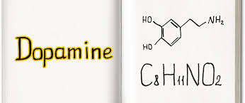 Image result for Dopamine