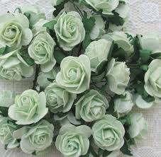 There are the primary colors of blue and yellow to create green. Amazon Com 40 Pcs Rose 25 30 Mm Light Green Mulberry Paper Flowers Handmade Craft Project Cardmaking Floral Valentine