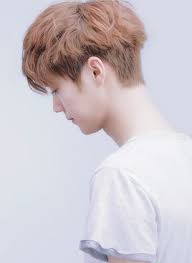 Luhan Luhan Korean Men Hairstyle Kpop Hair Men Hair Color