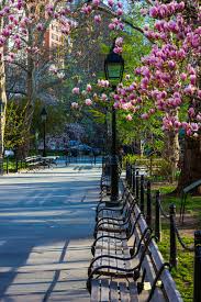 Maybe you would like to learn more about one of these? 110 Central Park Spring Ideas Central Park Park Spring