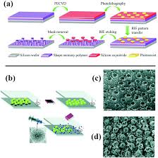 This event raises funds for multiple sclerosis, funds assist with research, help those living with ms, college scholarships, and much more. Recent Advances Of Bioinspired Functional Materials With Specific Wettability From Nature And Beyond Nature Nanoscale Horizons Rsc Publishing Doi 10 1039 C8nh00223a