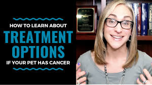 Baying is essentially just howling, but usually done by larger hunting or hound dogs, so they are. Signs Your Dog Has Lung Cancer The Best Treatments Options For Your Dog Vlog 104 Youtube