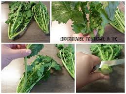 Gustose e piccantine, danno un gusto unico a ogni piatto. Come Pulire Le Cime Di Rapa Passo Passo Semplice
