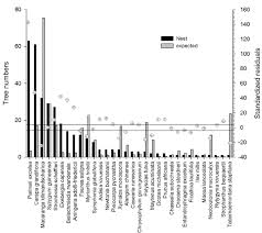 Image result for Strophanthus bequaertii