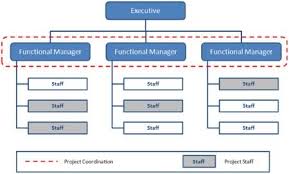 Organizational Structure Types For Project Managers