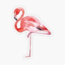 4.8 out of 5 stars 974. Flamingo Gifts Merchandise Redbubble