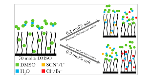 Solvent-Modulated Specific Ion Effects: Poly(N-isopropylacrylamide) Brushes  in Nonaqueous Electrolytes