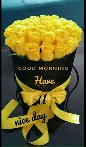 Flower Good Morning Yellow Rose Flower Images 160 pieces of good morning gif animation. good morning yellow rose flower images