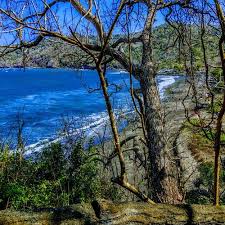 Maybe you would like to learn more about one of these? What To Do And See In Banyuwangi Java The Best Beaches