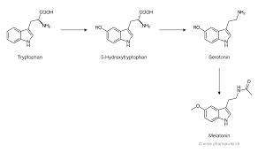 Wer melatonin ausprobiert, sollte das hormon etwa eine stunde vor dem schlafengehen einnehmen, rät er. Pharmawiki Melatonin