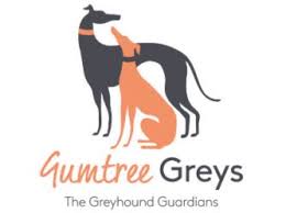 They will be ready for their new homes on june 4th. Gumtree Greys Petrescue