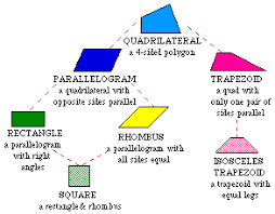 Polygon Family Tree Anchor Chart Bedowntowndaytona Com