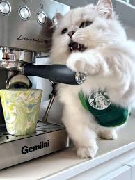 saw this and called my dad immediately 🥺