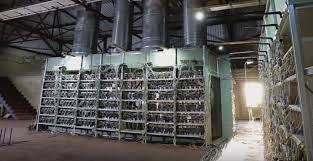 Note that the last option is the most profitable. Biggest Top Secret Russian Bitcoin Mining Farm Bitcoin Mining Bitcoin What Is Bitcoin Mining