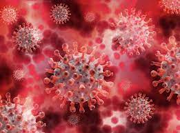 La l425r e la e484q. Variante Indiana Do Coronavirus E Identificada Em Sao Paulo Poder360