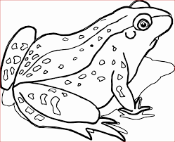 Coloring Pages Realistic Animals Unique Frog Coloring Pages Skill Realistic Frog Coloring Frog Coloring Pages Doc Mcstuffins Coloring Pages Coloring Pages