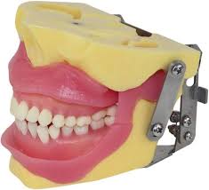 Salute delle gengive