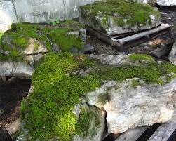 Buy a single boulder or a truckload. Moss Rock In Large Medium And Small Sizes Both With And Without Moss