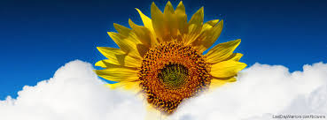 Maybe you would like to learn more about one of these? Facebook Timeline Graphics L Facebook Covers L Floral Facebook Covers 3