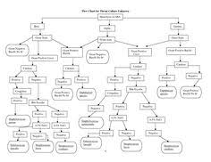 New Flowchart Unknown Bacteria