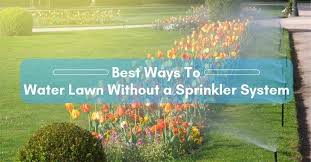 How many days per week to water a lawn. Best Way To Water Your Lawn Without A Sprinkler System 2021 S Year Update