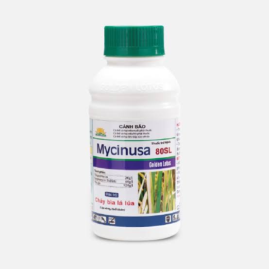 Mycinusa 80SL