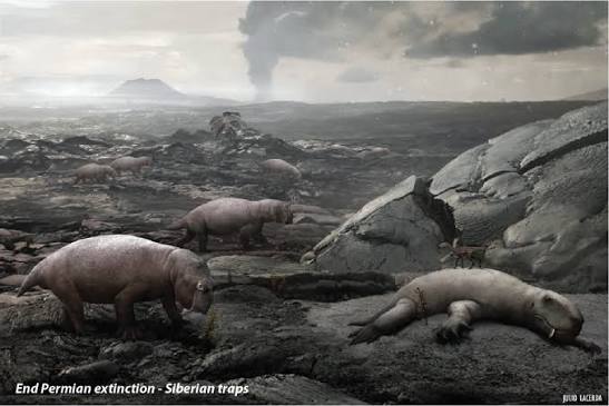 Extinction: The great dyings & salt basins