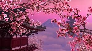 Wallpaper animé anime wallpaper live anime scenery wallpaper iphone background pretty pink cherry blossom wallpaper. Sakura Hd Wallpapers Desktop Wallpaper Cherry Blossom Tree Background 1280x720 Wallpaper Teahub Io