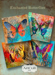 Rosalba Salazar (rendonrosalba)