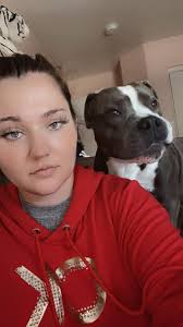 Who says Bull Terriers are clingy? 🤔