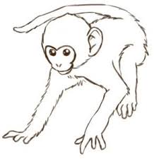 How To Draw Monkeys Step By Step Rainforest Animals Animals Free Online Drawing Tutorial Added By Puzzlepiec Monkey Drawing Monkey Art Monkey Illustration