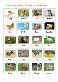 Matching Activity Animals And Their Young Teachersmag Com In 2020 Animal Matching Game Matching Games Matching Activity