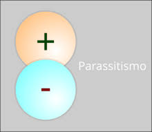 Parassitismo Zoologia