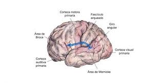 321 494 просмотра 321 тыс. Qumgpwrs1b72dm