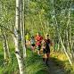 Sunday Runs event image