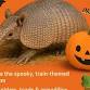 Pumpkins, Paws and Scales @ Whitehead Railway Museum event image