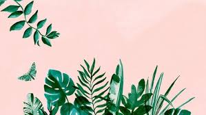 See more ideas about aesthetic iphone wallpaper, aesthetic wallpapers, cute wallpapers. Pink Background Tumblr Aesthetic Backgrounds Painting Of Green Palm Leaves Of Different Kinds Cute Computer Backgrounds Cute Summer Wallpapers Go Wallpaper