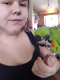 Any suggestions from my bird friends?! Kaycee Jane? :)