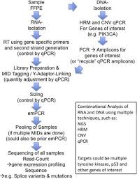 Combinational Usage Of Next Generation Sequencing And Qpcr For The Analysis Of Tumour Samples