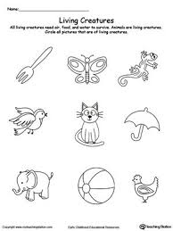Understand Living Things Animals Science Worksheets Kindergarten Science Preschool Worksheets