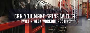 twice a week workout routine old
