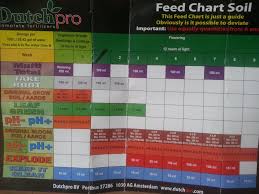 Dutch Pro Feed Schedule The Autoflower Network