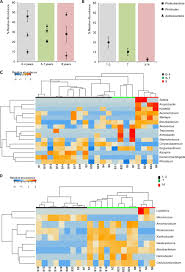 In many cases, the capsule helps protect. Microbial Diversity And Putative Opportunistic Pathogens In Dishwasher Biofilm Communities Applied And Environmental Microbiology