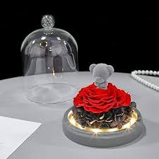 E-MANIS Beauty and The Beast Rose Teddy Bear,Handmade Preserved Real  Eternal Rose,LED Lights in Glass Dome