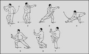 An example of a typical tai chi chuan form (push down and stand on one... |  Download Scientific Diagram