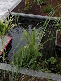 Für platzbegrenzte gärten, vorgärten und balkone bieten sich kleinere wasserbecken an, die durch eine angepasste miniaturgestaltung einen ebenso wirkungsvollen reiz entfalten können. Wasserbecken Fur Garten
