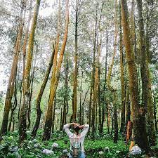 20 Tempat Instagramable Di Malang Yang Wajib Diburu Bababeli